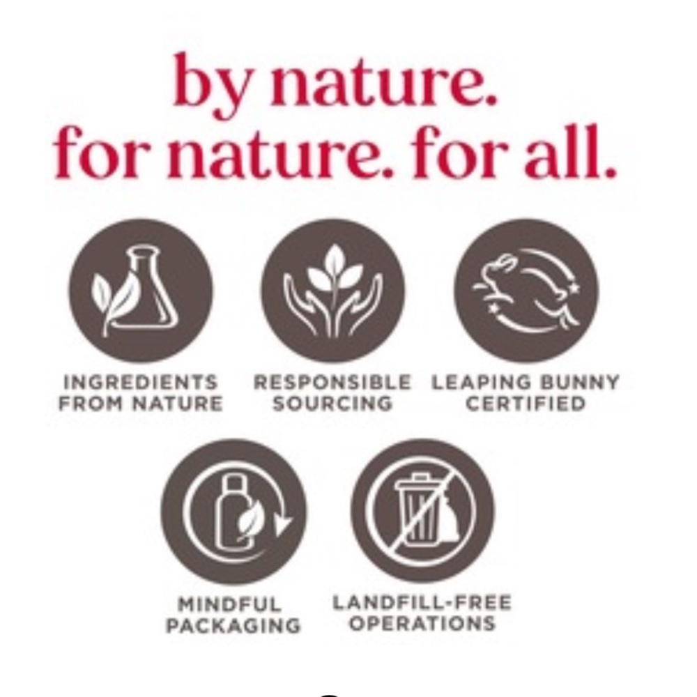 Burt’s Bees Lip Balms — Conditioning 4 Pack Set - Picture 12 of 16